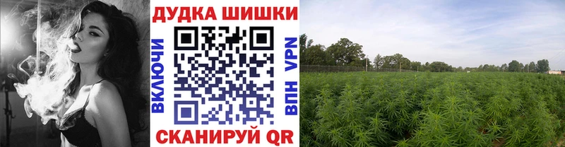 МЕФ Конаково