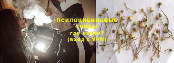 хмурый Алексеевка