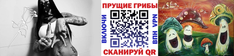магазин  наркотиков  Конаково  Псилоцибиновые грибы ЛСД 