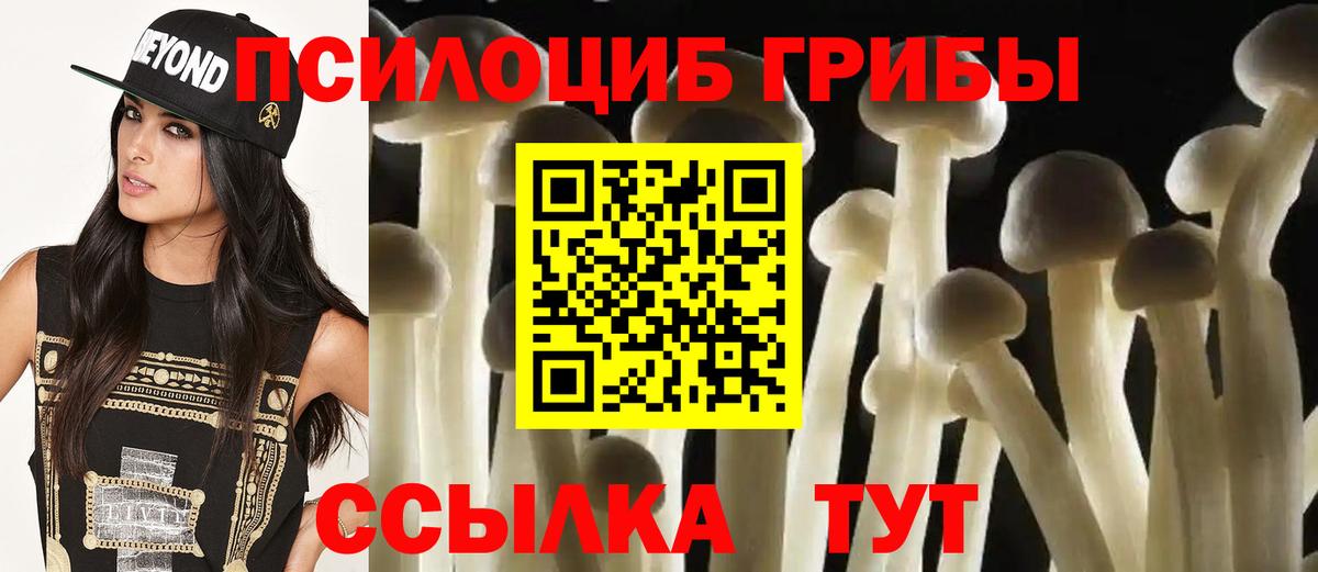 Конаково  купить наркотик  Вход с VPN  Галлюциногенные грибы прущие грибы 
