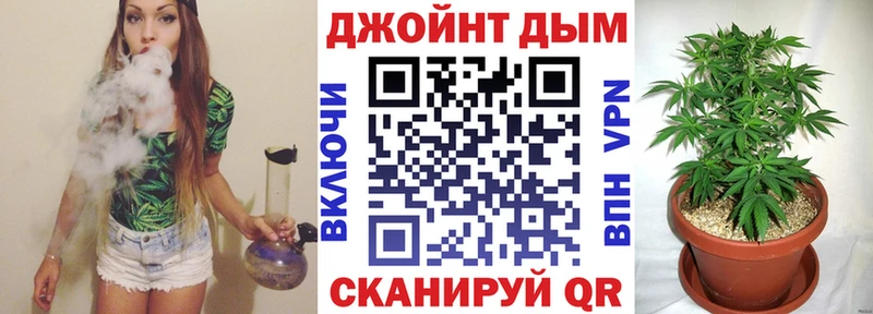 дарнет шоп  Конаково  Каннабис OG Kush 
